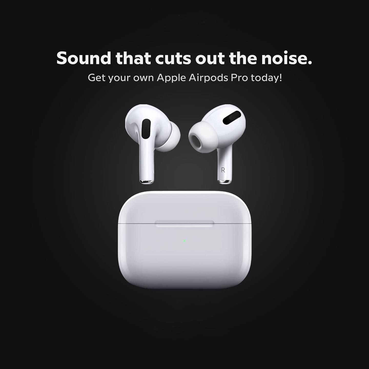 180606580_5402532636484055_5435660673404530957_n